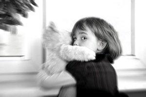 DuPage County family law attorney, domestic violence