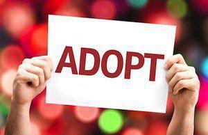 DuPage County adoption lawyers, related adoptions